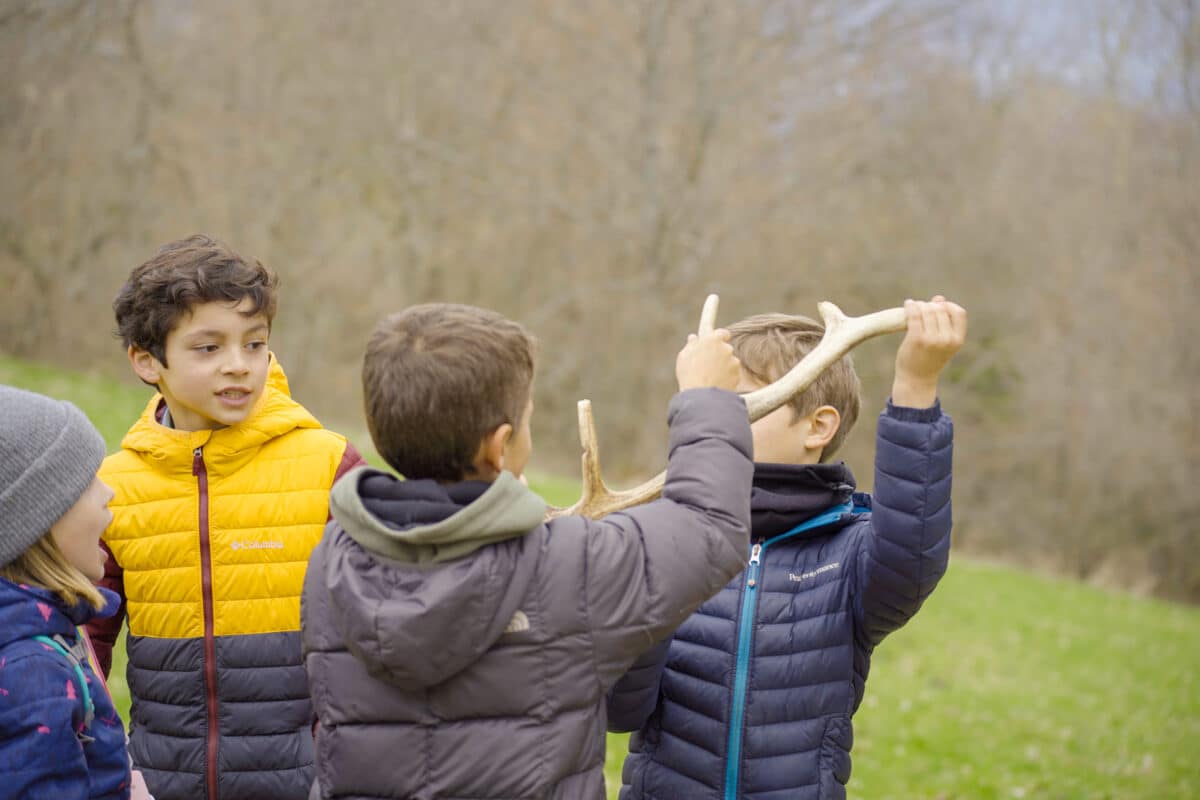 Animation Téléphérique