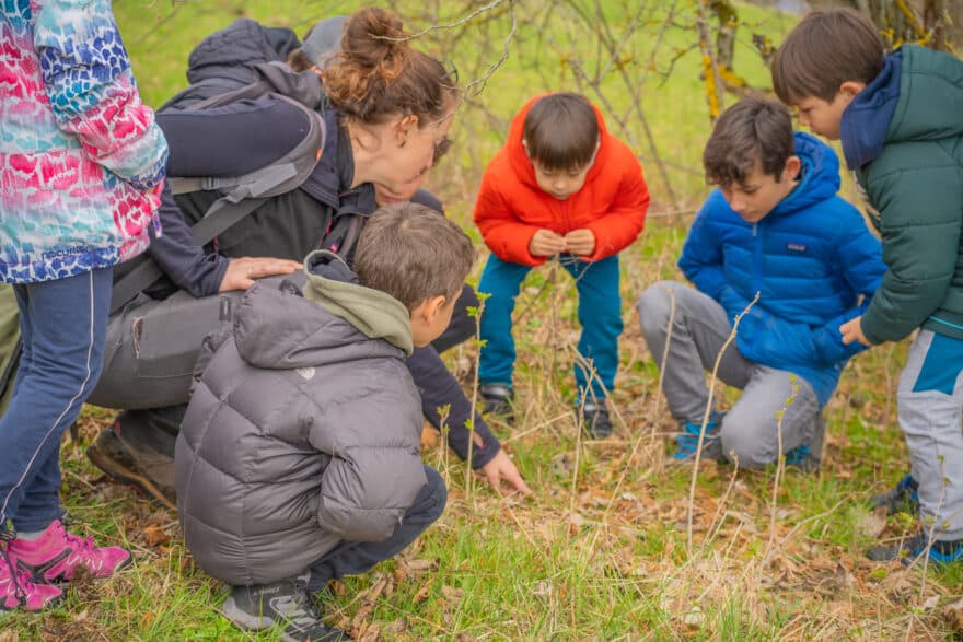 Animation : Causeries végétales