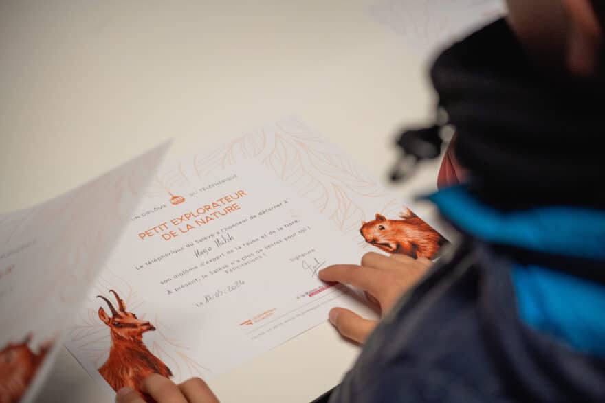 Animation : Un arbre comme un ami