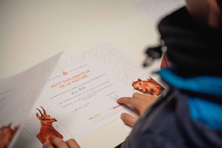 Animation : Un arbre comme un ami