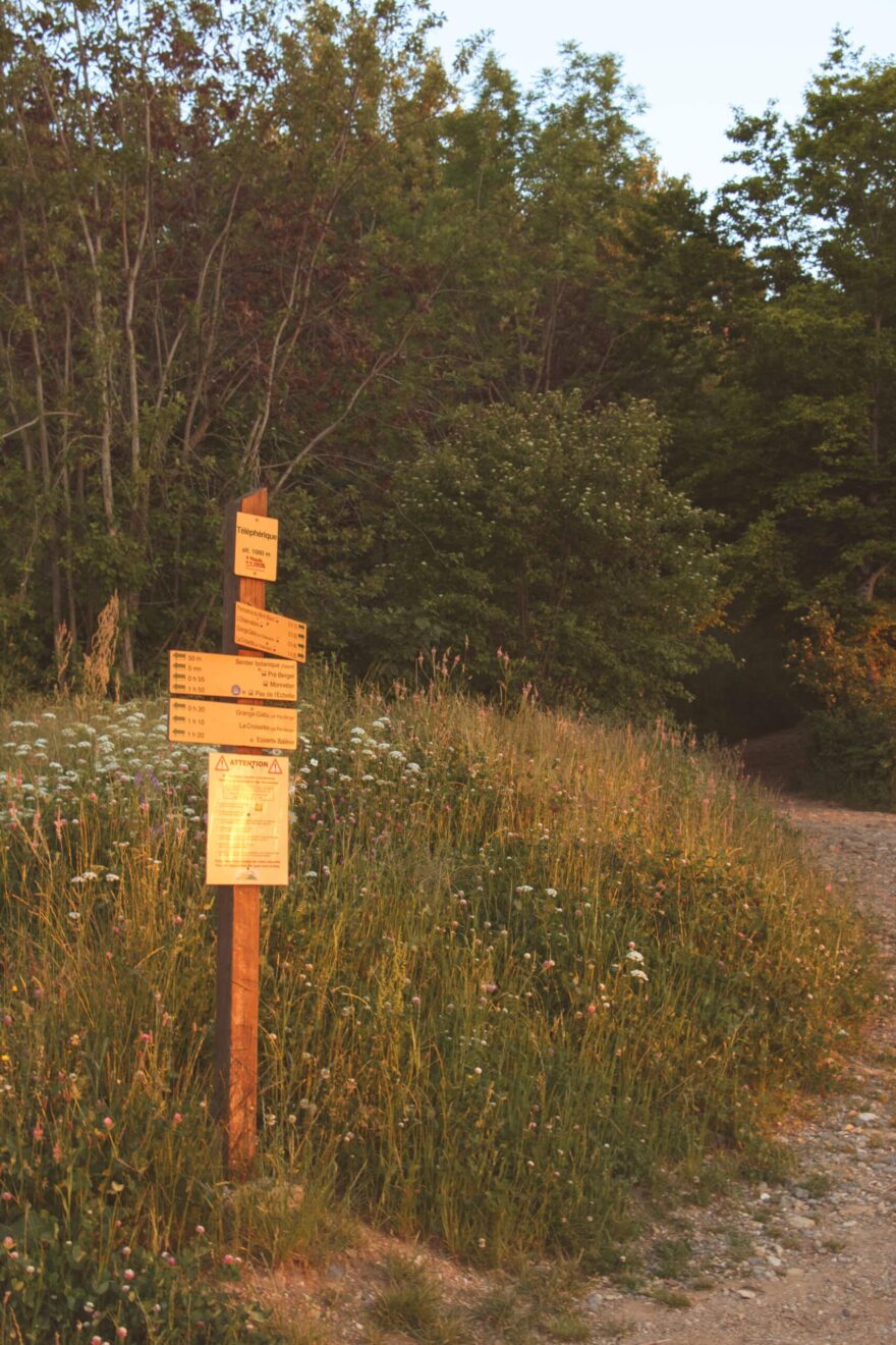 Animation : Vie sauvage au Salève